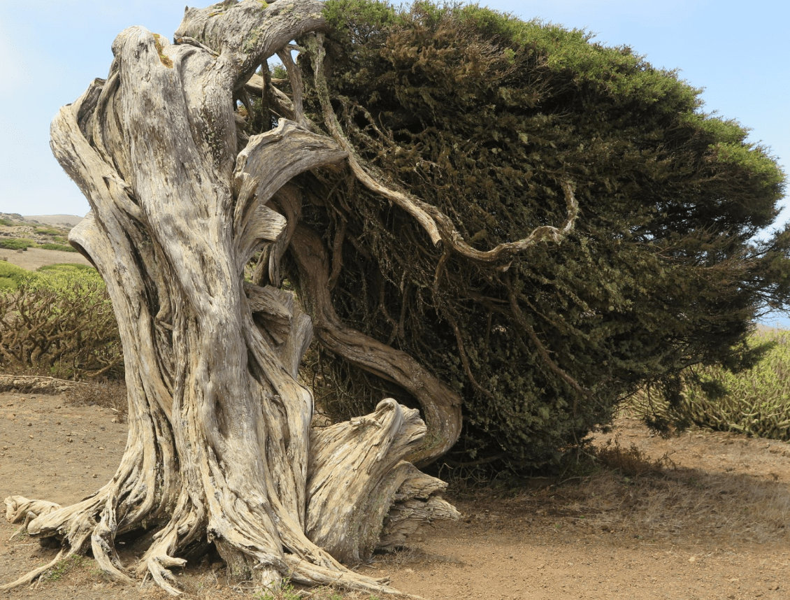 Lanzarote tutta da scoprire