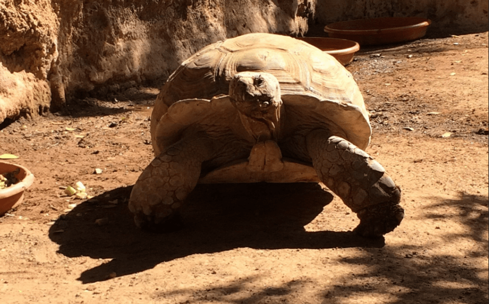 Gran Canaria un continente in miniatura