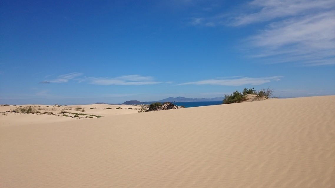 Spiaggia di Majanicho