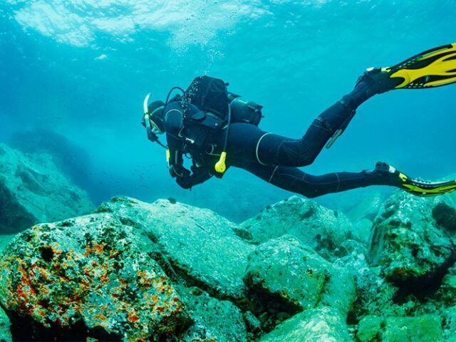 Scuba Diving a Fuerteventura