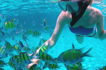 Scuba Diving a Fuerteventura: Scopri il Mondo Sommerso