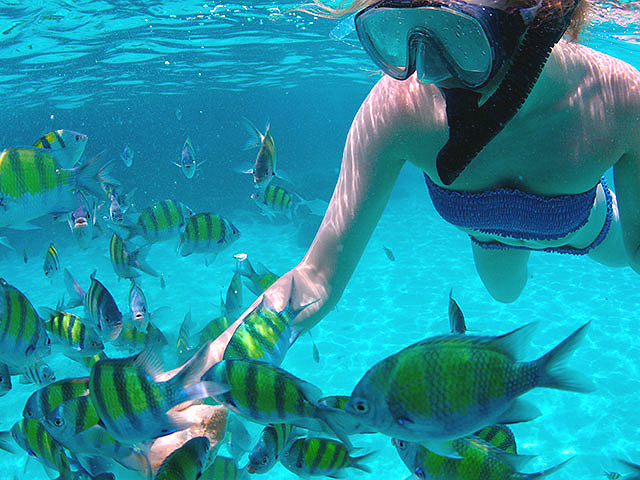 Snorkeling a Fuerteventura