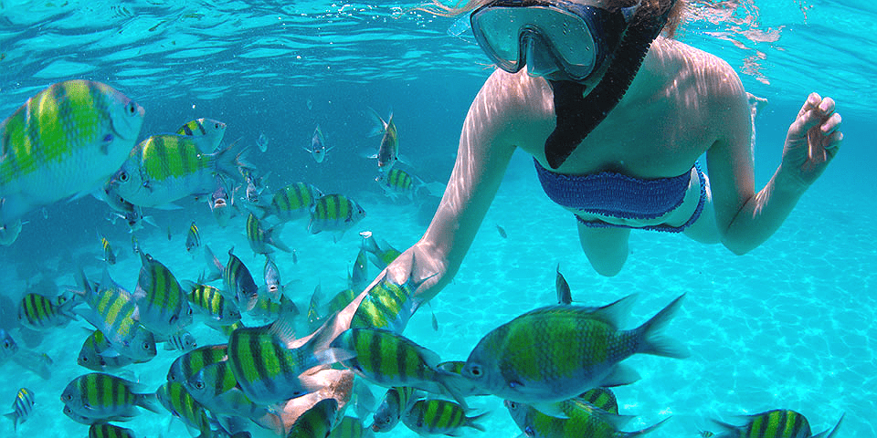 Snorkeling a Fuerteventura