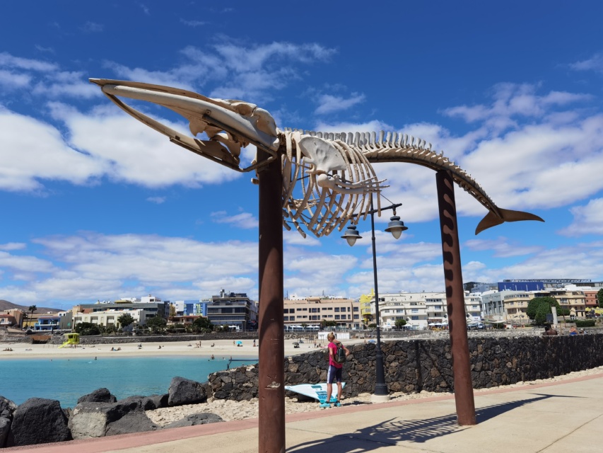 Spiagge Puerto del Rosario Fuerteventura