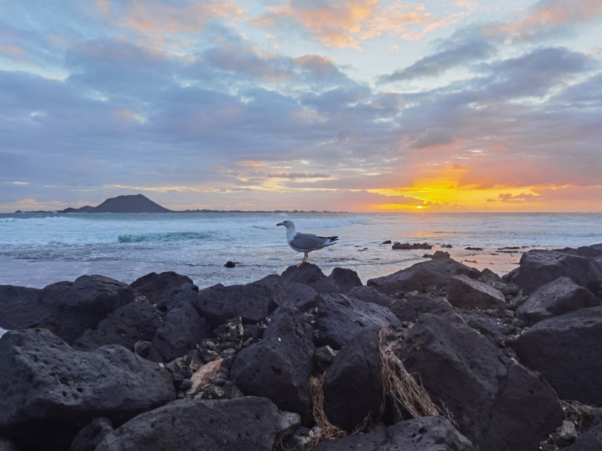 Alba di Fuerteventura
