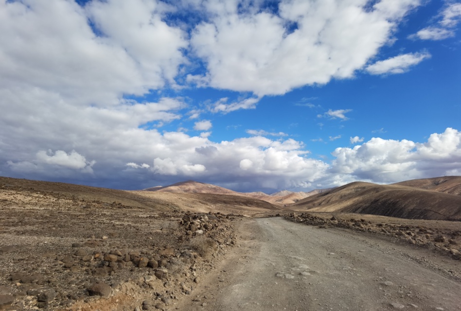 Escursioni Fuerteventura