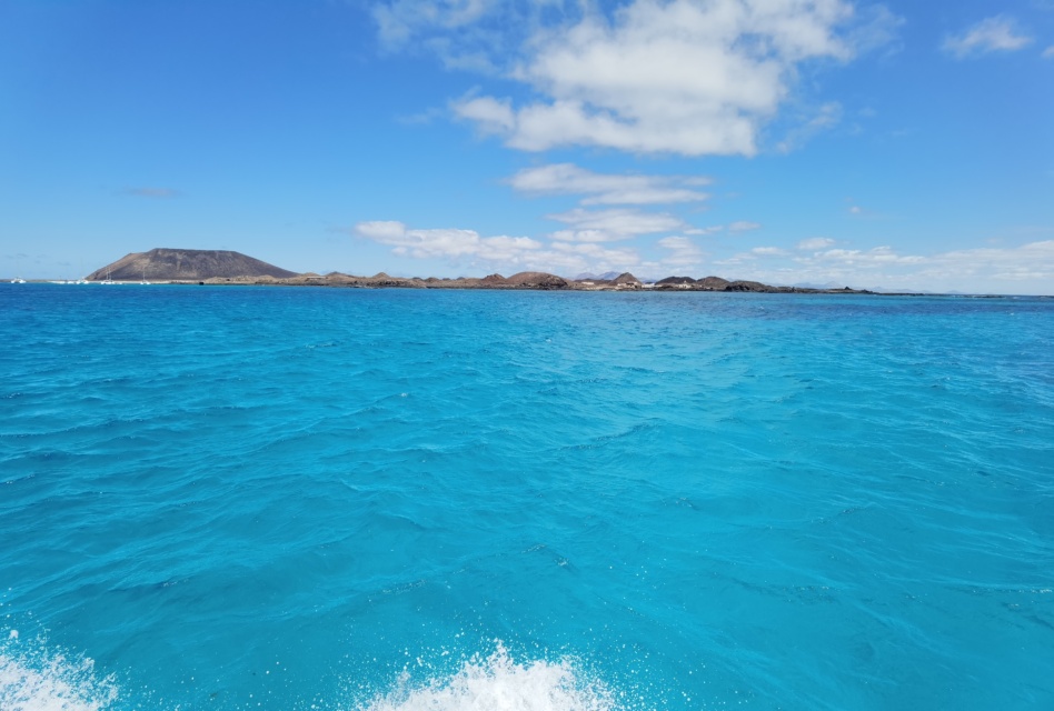 Snorkeling Isola di Lobos