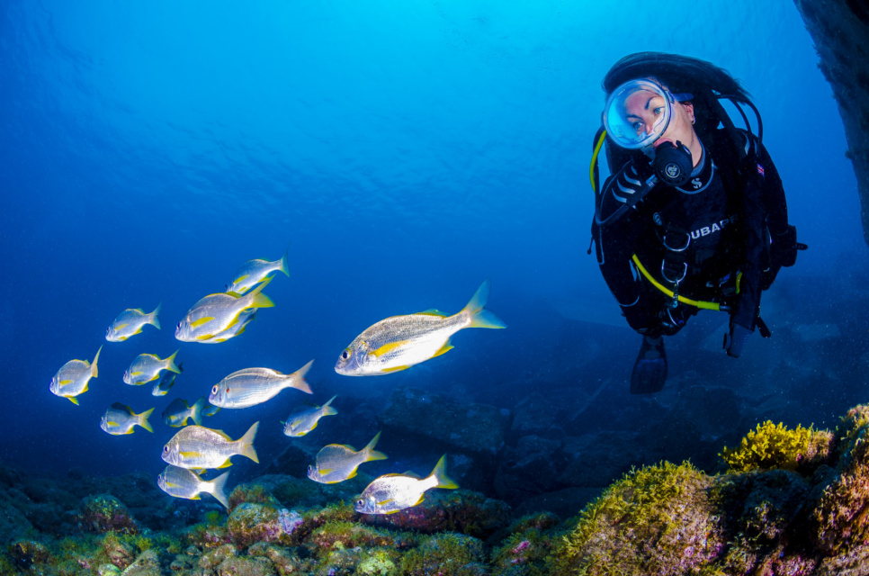 Corsi di immersione Fuerteventura